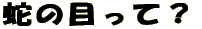 蛇の目って？ 